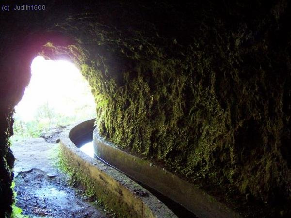Madeira agost 2006