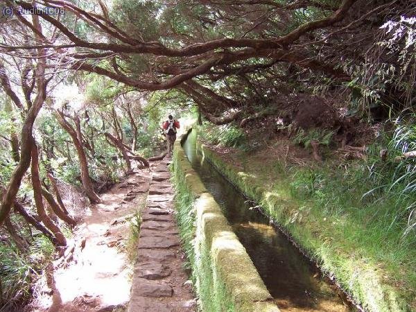 Madeira agost 2006