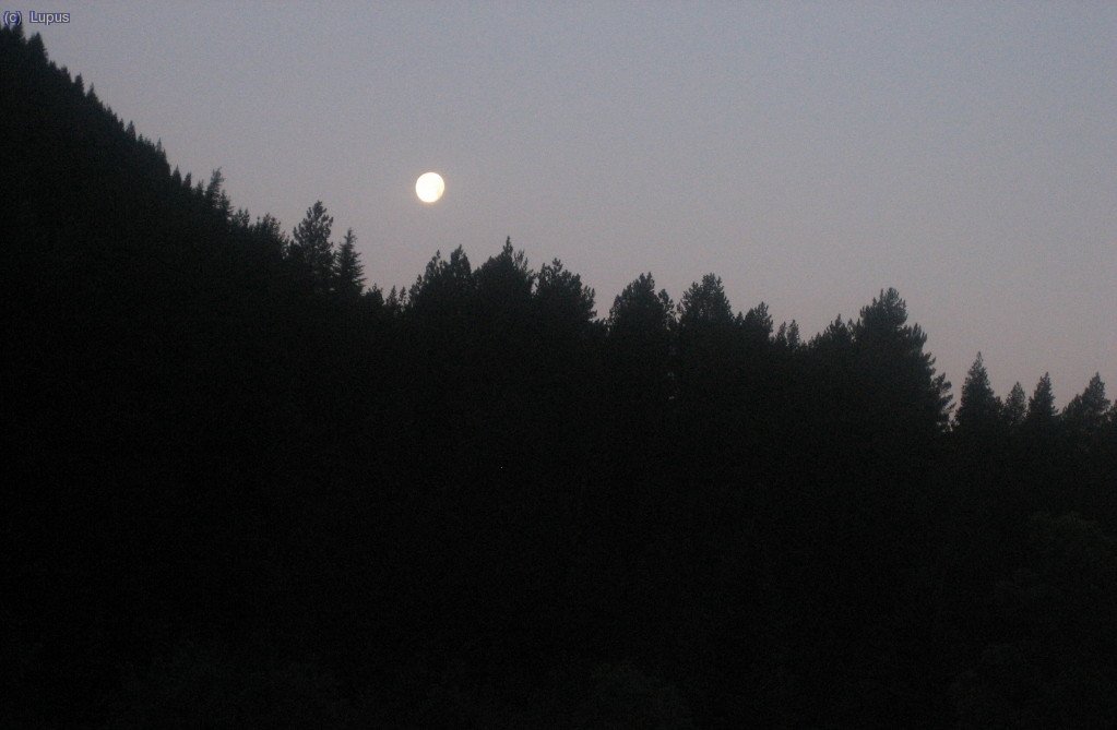  Ojo de luna ... la mirada de la noche ( Senarta - Huesca )