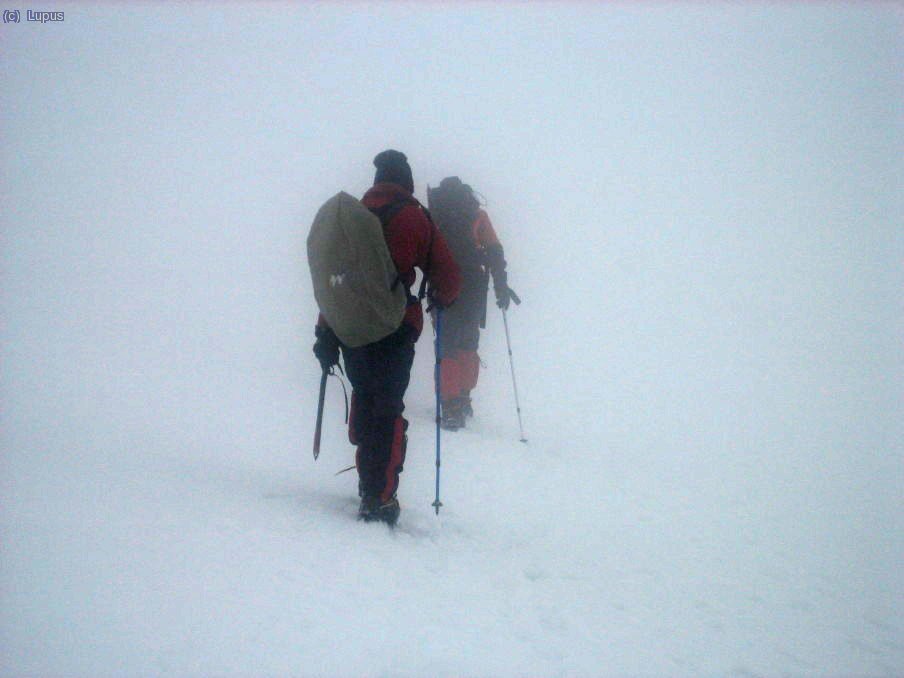  Ojos perdidos ... la mirada en la niebla ( Gabardito - Huesca )