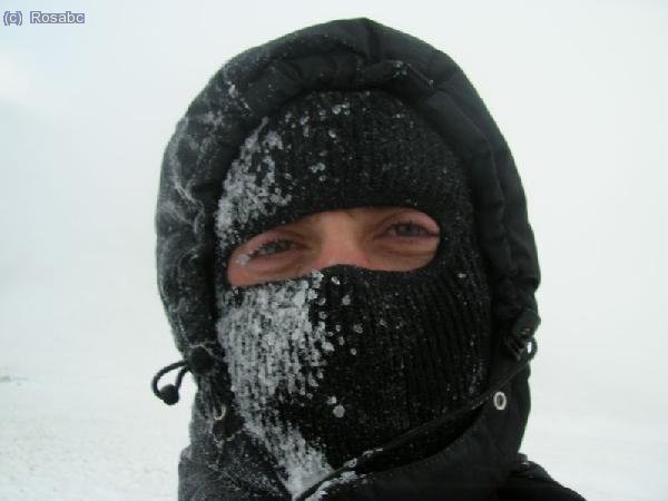 ¿DE QUE LADO CAIA LA VENTISCA?