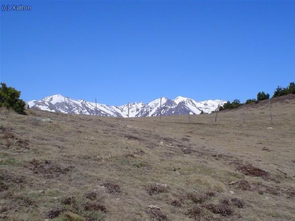 Collada verda