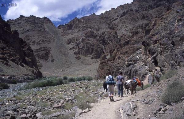 Camino del campo I del Stok