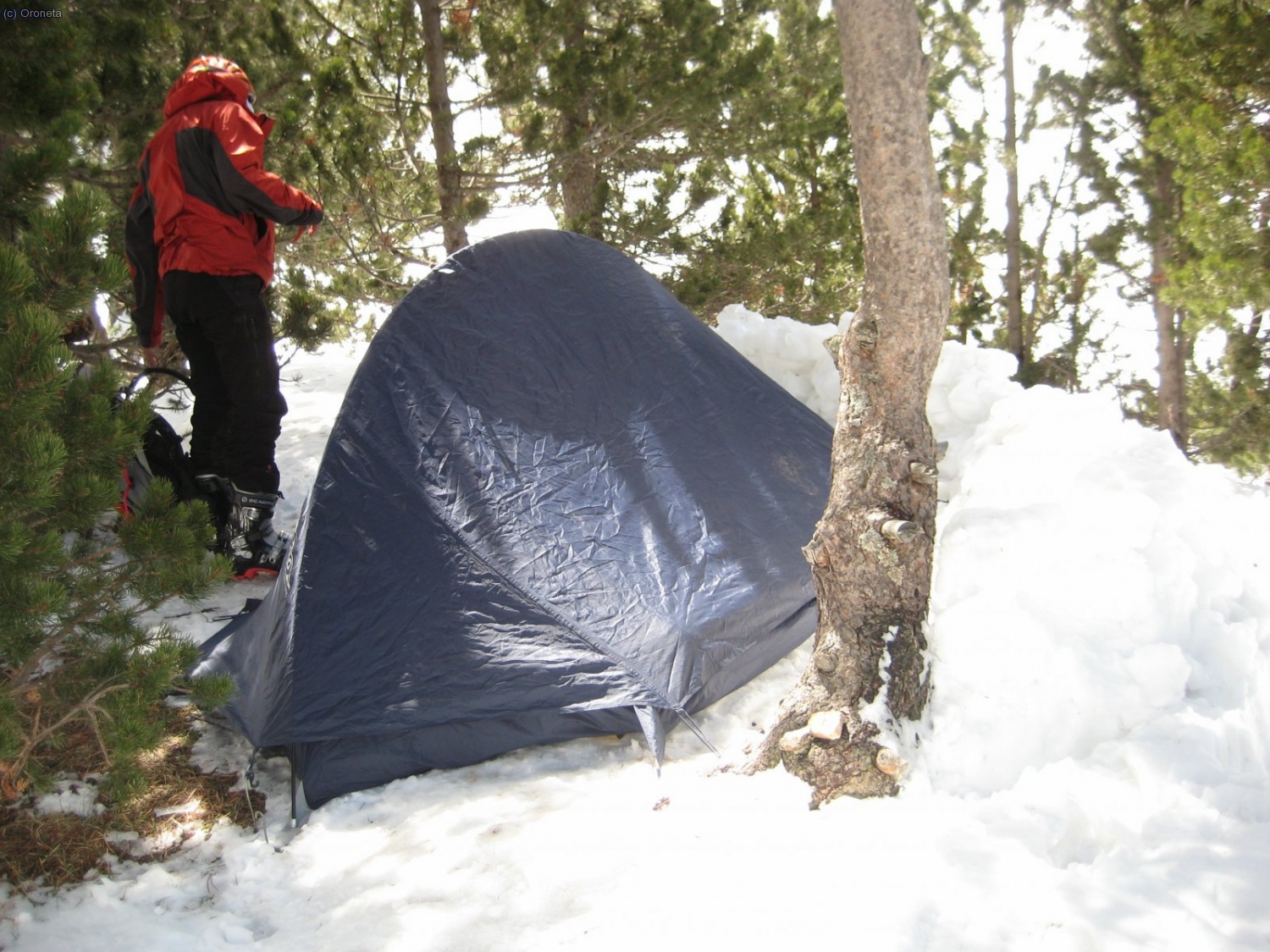 "Campament" sobre la neu, resguardats entre els arbres a un dels mont&iacute;culs al mig del Pla d