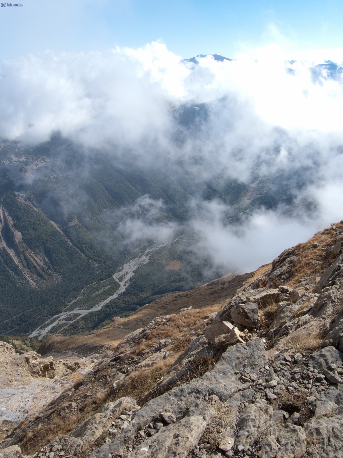 I 1600m avall asoma pineta