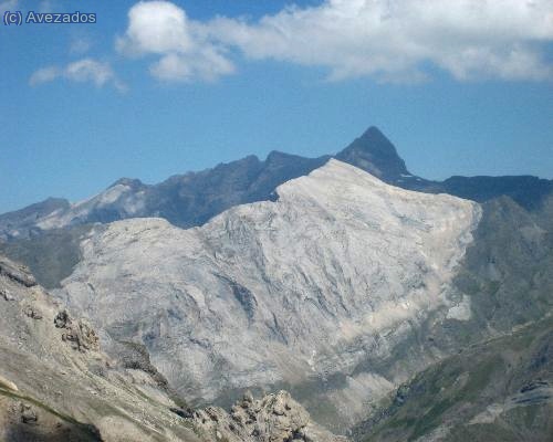 la munia desde el balcon