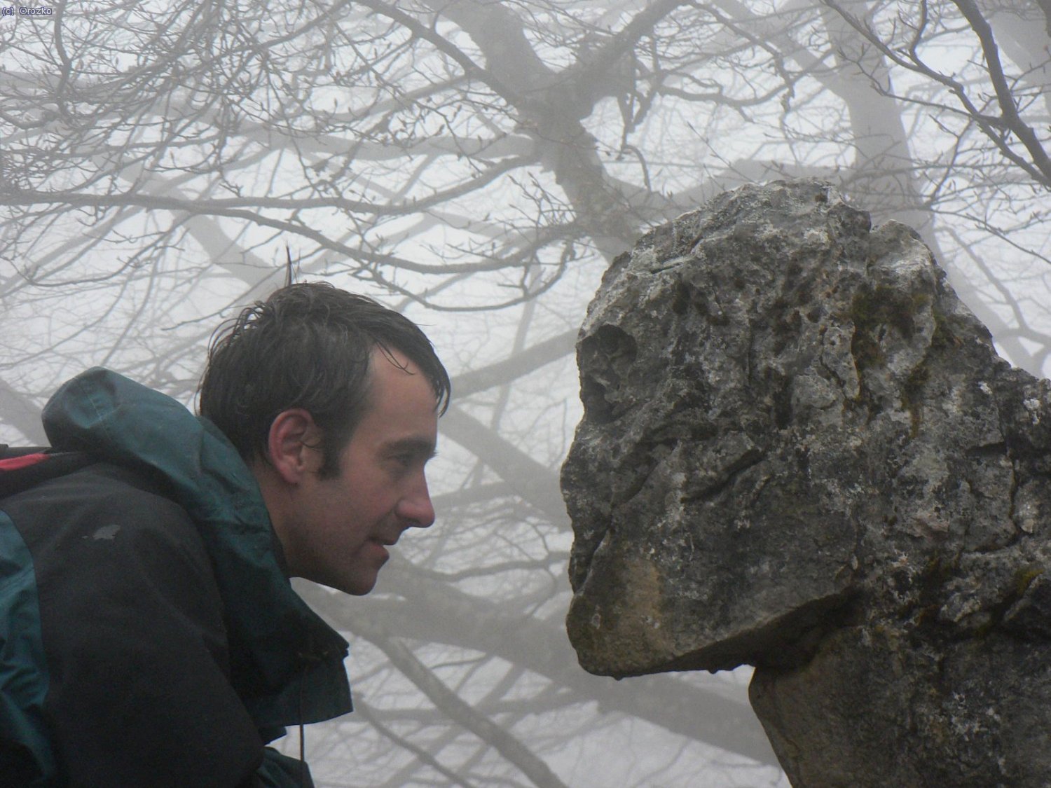 Ogro cerca de Azaloako Atxa en Gorbeia.