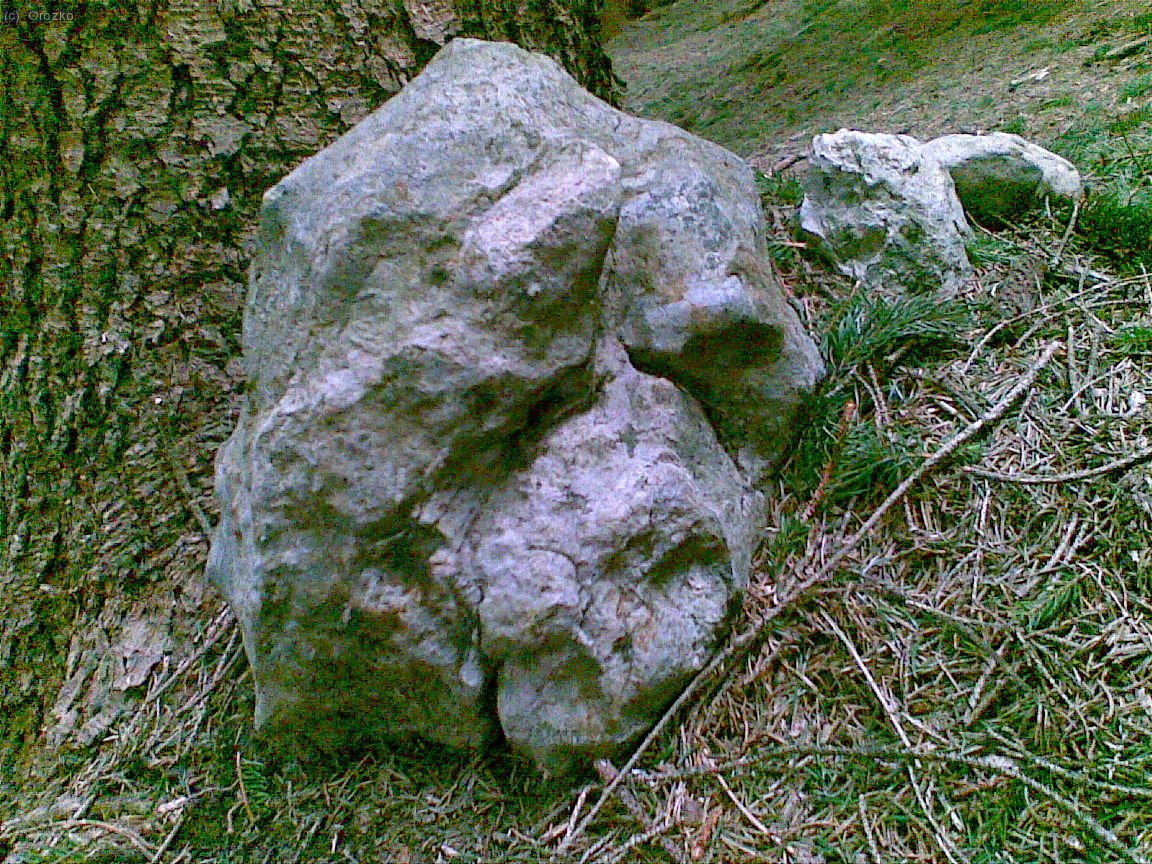 Curiosa piedra encontrada cerca del pico Arralde en Ubidea.