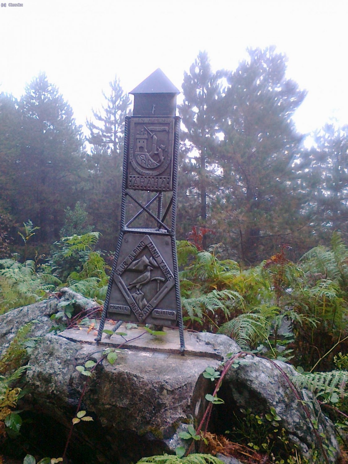ILLARAGORRI. Montes de Altzania.