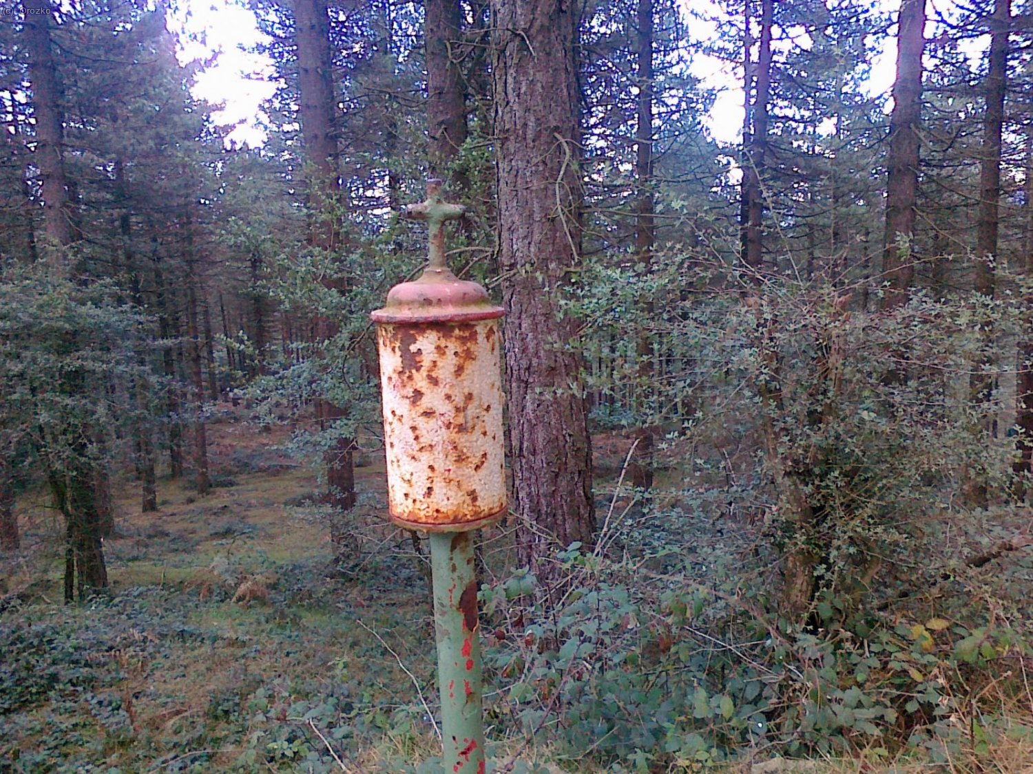 MAROTO. Sierra de Arlaban.
