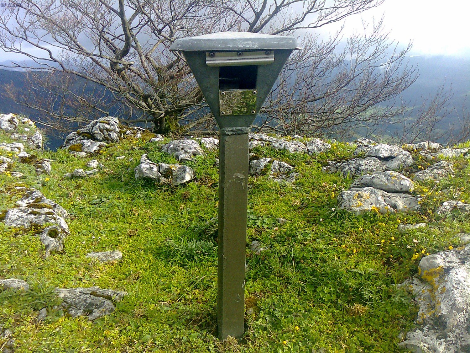 ARIMEKORTA. Gorbeia.
