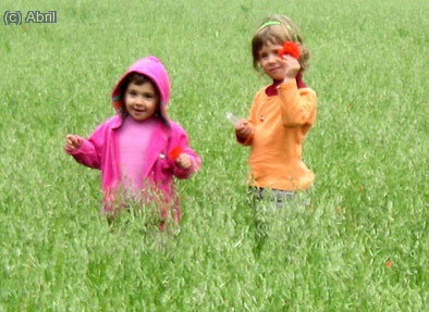 Al costat de Can Bofill, aquest camp, crec que &eacute;s Ordi.