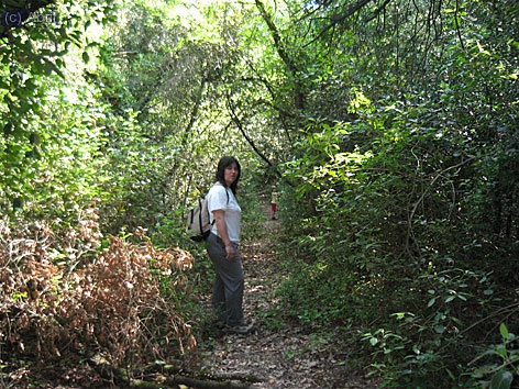 Aqu&iacute; comen&ccedil;a l