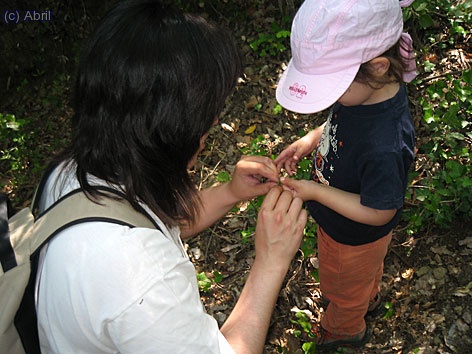 Despr&eacute;s totes dues volien tindre les seves tirites