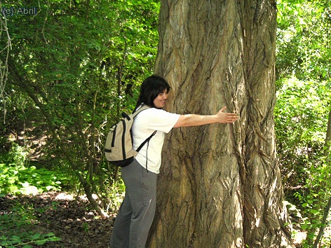 Tamb&eacute; ens vem posar ha abra&ccedil;ar els arbres a veure com era l