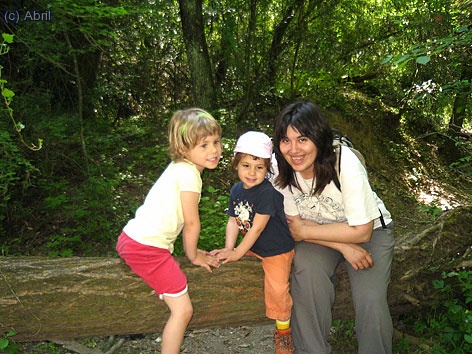 Vem travassar la riera varies vegades, aquesta &eacute;s una de les zones.