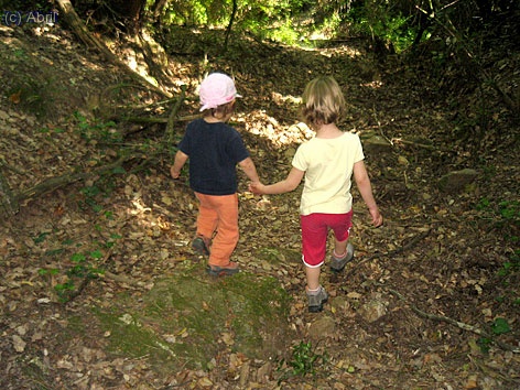 Aqu&iacute; vem baixar per una tartera