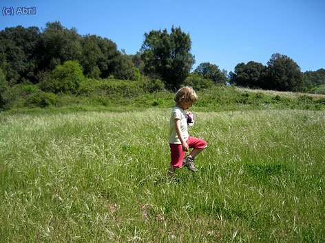 Un camp al costat de can Bosquets