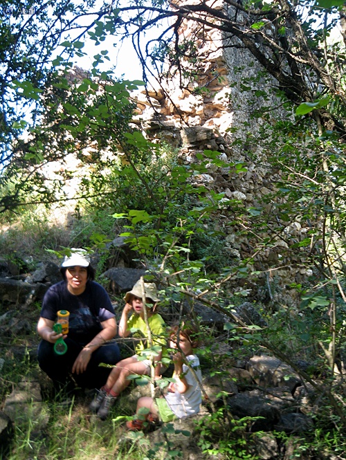 Al fons hi ha una torre