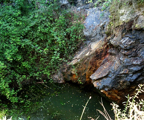 La cova
