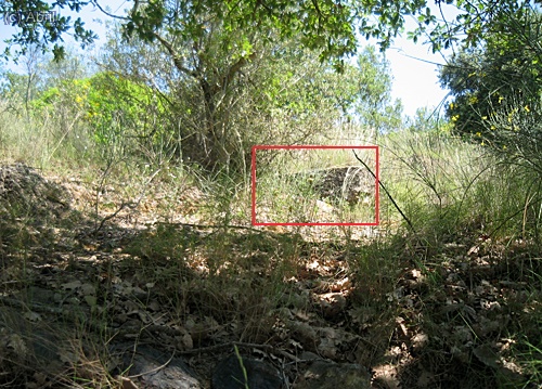 La font del Roca que ja no raja