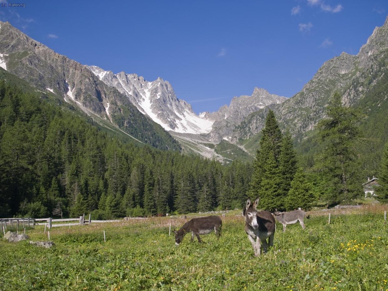 Buc&ograve;lic entorn del Relais d