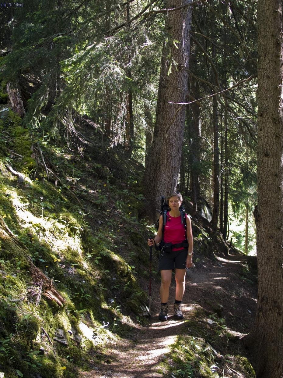 Pujant a la Cabanne Mont Fort