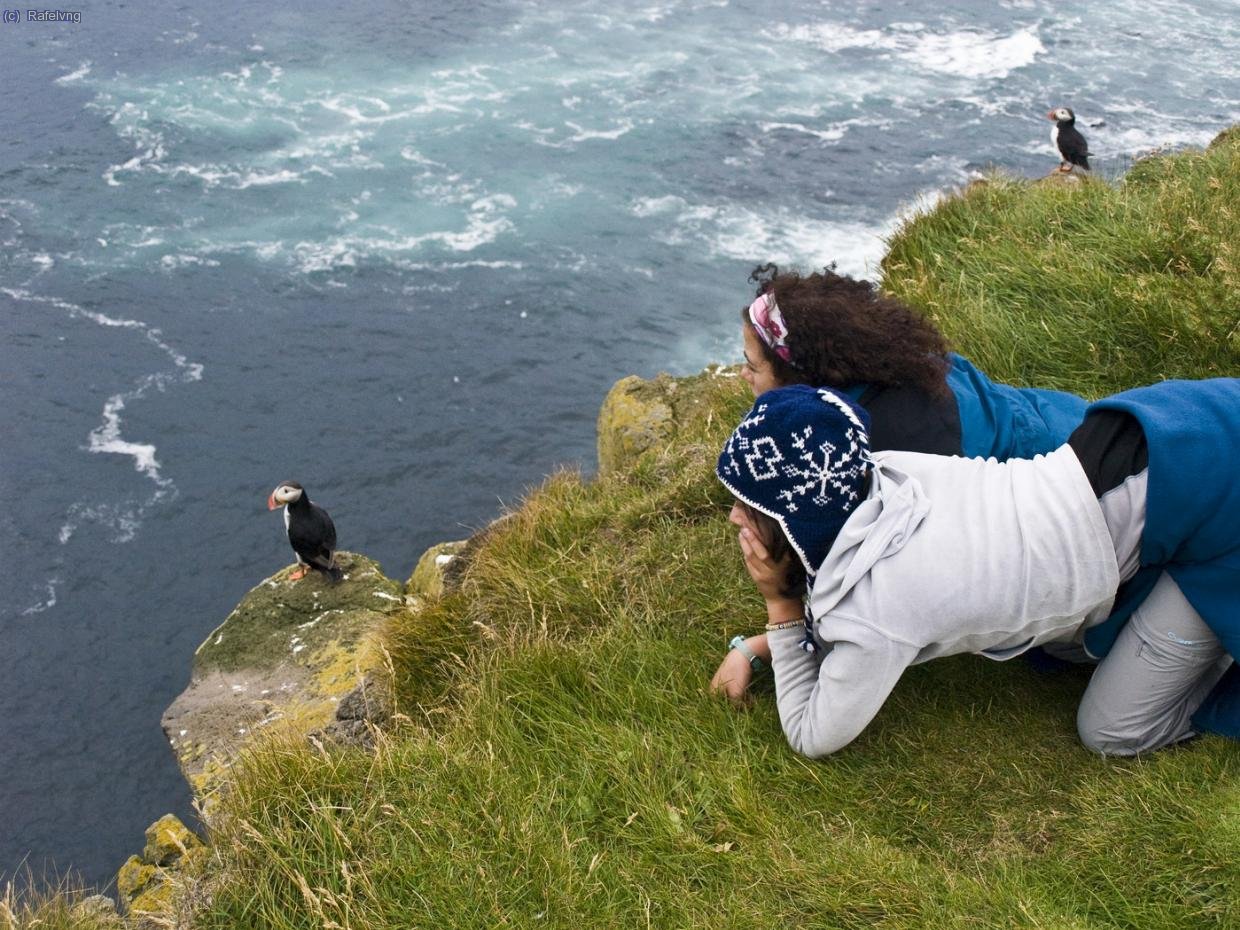 Excursi&oacute; pels penya-segats de L&aacute;trabjarg