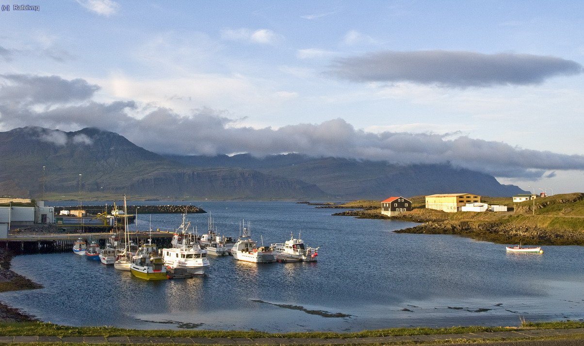Dj&uacute;pivogur