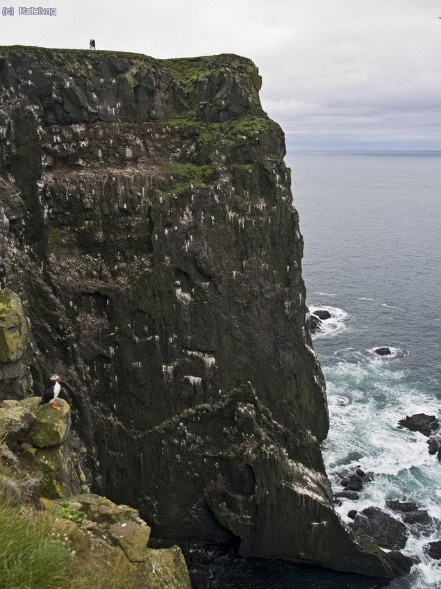 Excursi&oacute; pels penya-segats de L&aacute;trabjarg