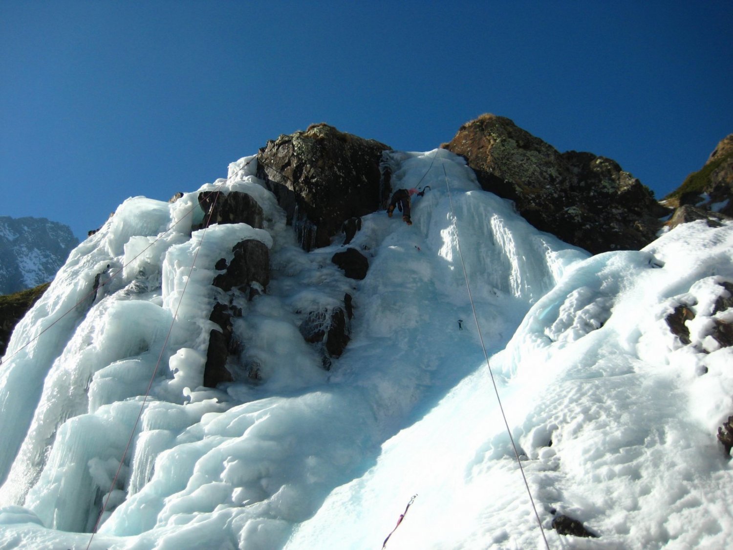 Disfrutant i aprenent!