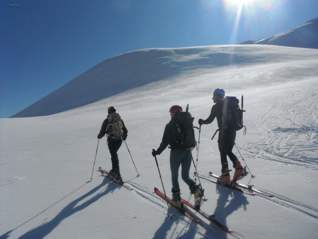 ...per rem untar amb les foques, cami del pas de l