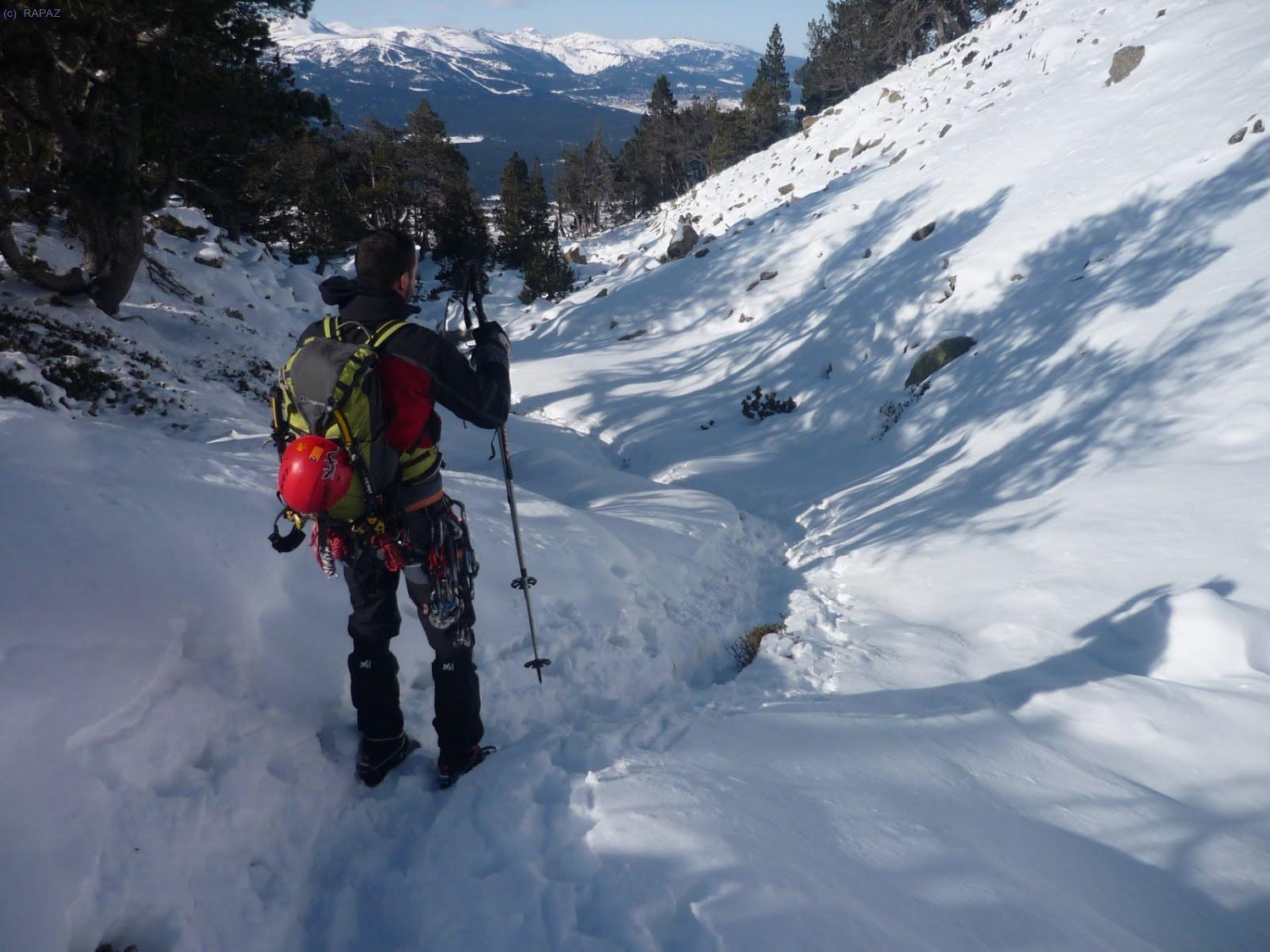 Neu pols al bosc. Imatge idil&middot;lica