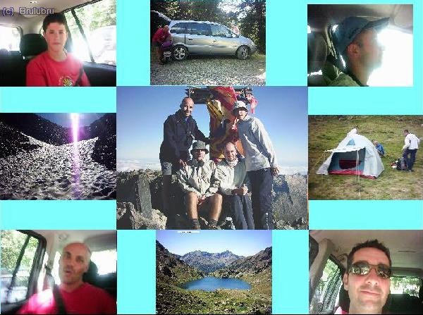 collage pica