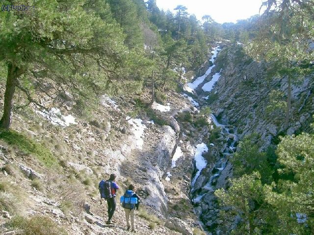 arroyo de los tornillos de Gualay ( cazorla)