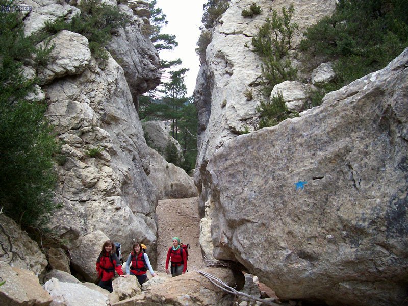 Lugar donde dejamos las Gubias y remontamos el barranco de la Coscollosa.