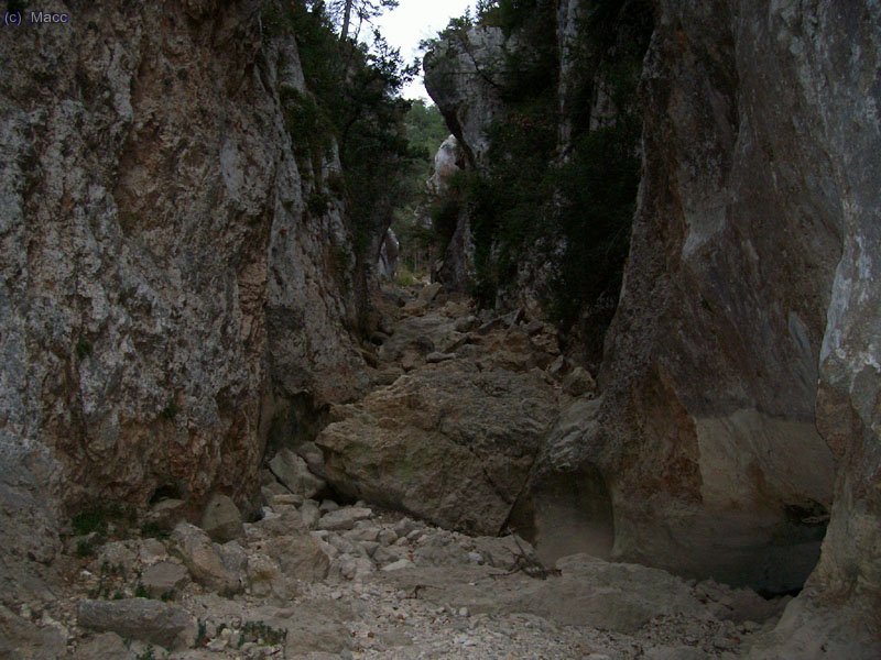Para terminar por la parte mas agreste del barranco.