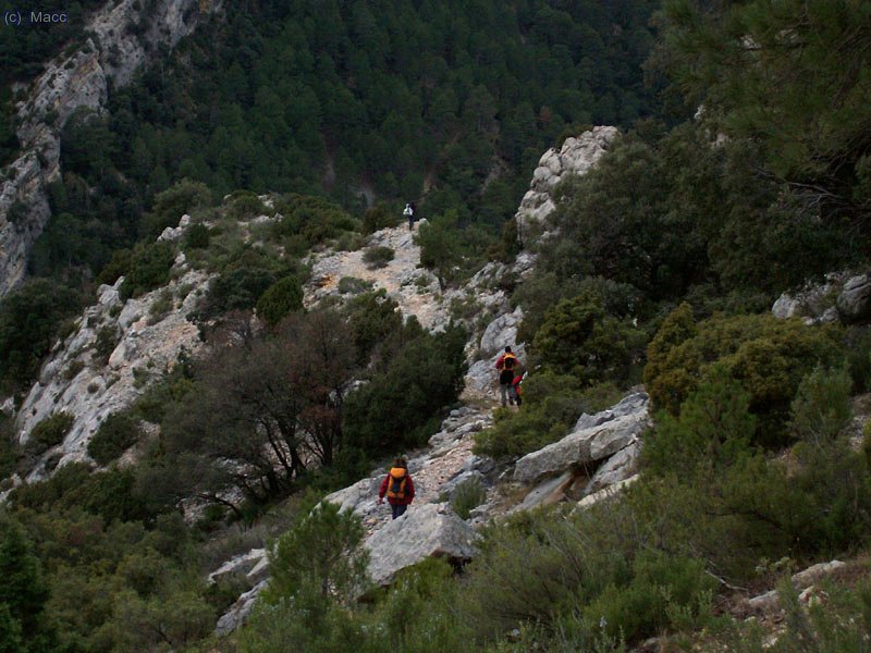 QUe transcurre por unos agrestes parajes.