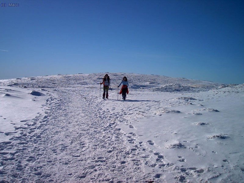 Un agradable paseo a 2200 metros.