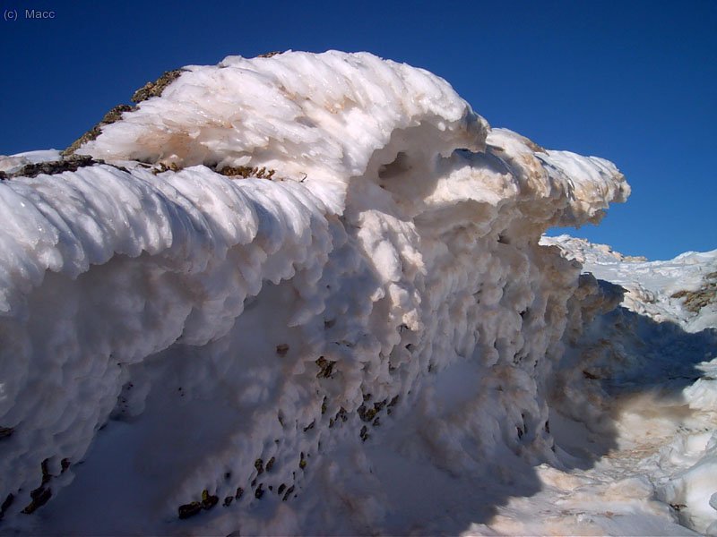 Una bonita escultura de hielo.