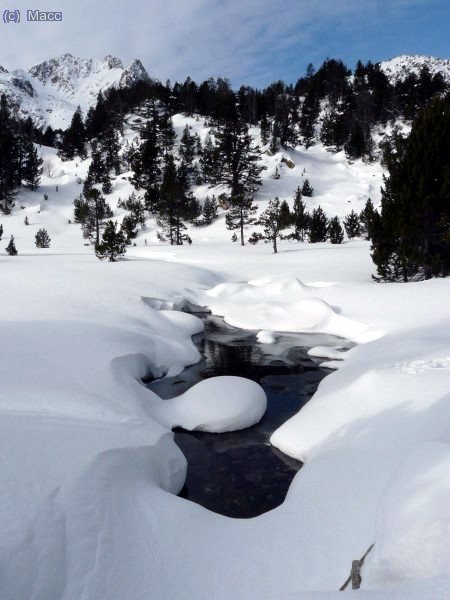 Bonita imagen invernal.