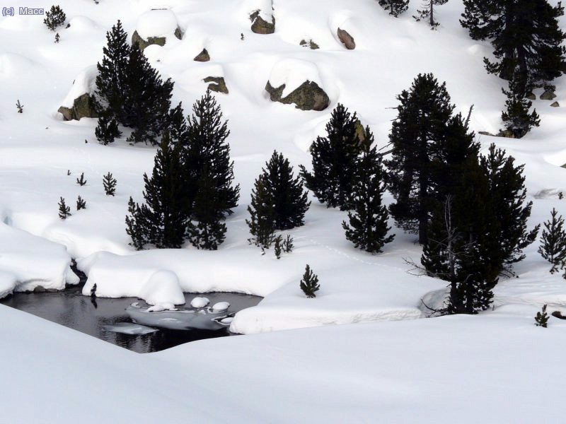 Otra bonita estampa invernal.