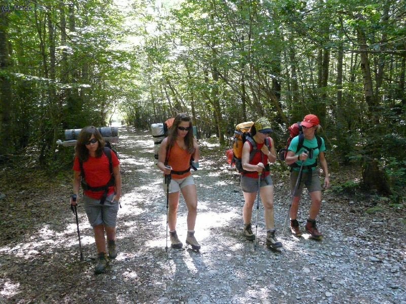 El primer tramo por el bosque se agradece.