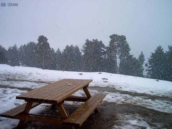 Las previsiones se cumplen y termina nevando.