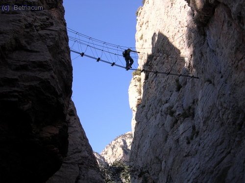 Vista del pont on s