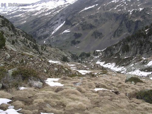 Cap a Aigualluts, ja sense neu ni boira.