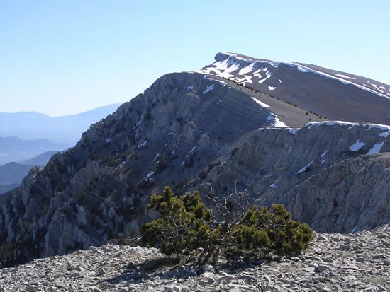 Vista des de la Torreta del Cad&iacute;