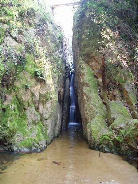 Pas estret a la vora de la Riera de Salenys