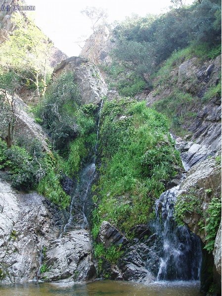 La riera permet una vegetació humida i ben verda