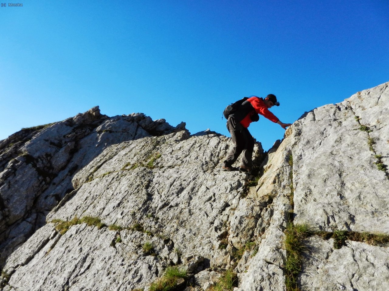 Pel fil de la primera agulla. L
